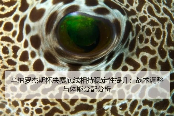 xin-na-luo-jie-si-bei-jue-sai-di-xian-xiang-chi-wen-ding-xing-ti-sheng-zhan-shu-tiao-zheng-yu-ti-neng-fen-pei-fen-xi-3-407.jpg